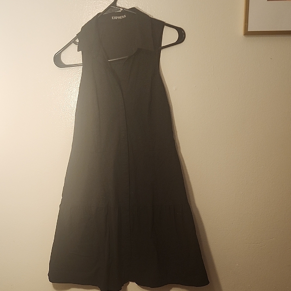 Express Black Sleeveless Dress